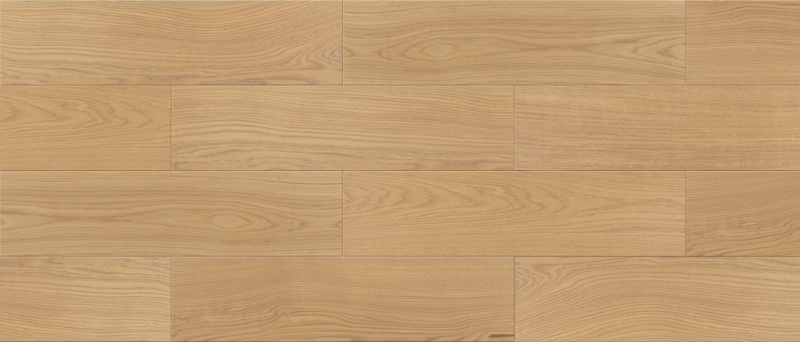 PITAGORAS NEPTUN bevel